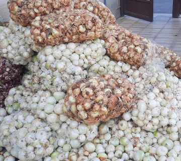 اهدا پیاز توسط خیر